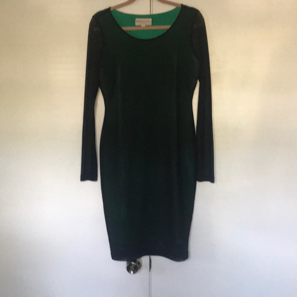 Long sheer sleeve dress